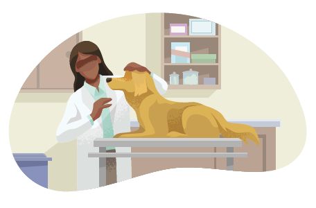 Animal Hospital & Veterinarian Business Insurance Quotes | Insureon