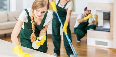 Professional house cleaners at work