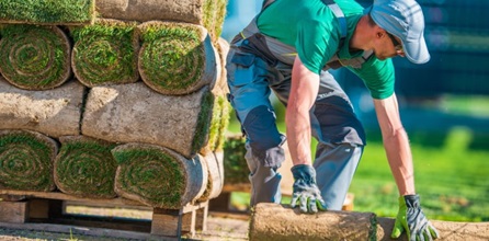 Landscaping professional laying grass on property.